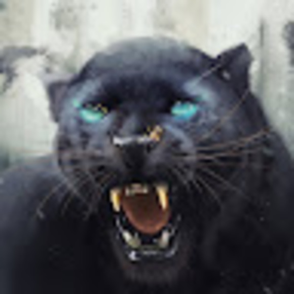 Meet your Posher, Aimee - Picture 1 of 1